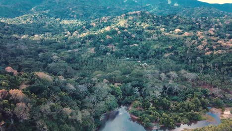 Aerial-Drone-Shot-of-Jungle-Forest-next-to-a-river-with-a-reveal-of-the-hills