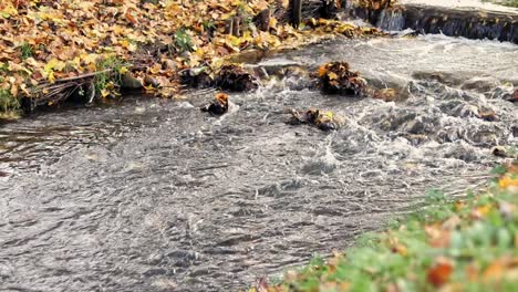 Ein-Herbstfluss,-Der-Im-Park-Einer-Stadt-Fließt