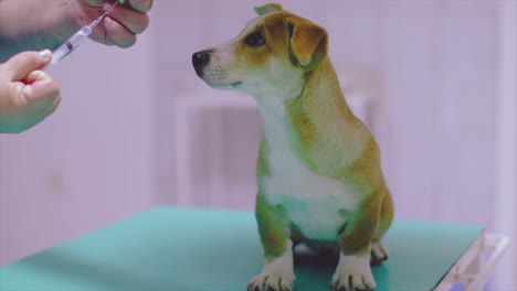 Perro-Mascota-Siendo-Vacunado-En-El-Veterinario