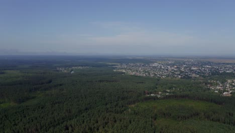 Die-Landschaft-Der-Ukraine-Mit-See-Und-Riesiger-Baumplantage-Und-Der-Bewohnten-Stadt---Luftaufnahme