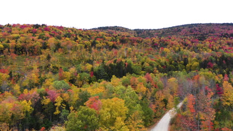 Aerial-Fly-Over-Drone-Footage-over-top-of-autumn-trees-with-road-intersecting-forest-foliage-revealing-rich-fall-colors-in-red,-orange-and-green-in-Maine,-USA
