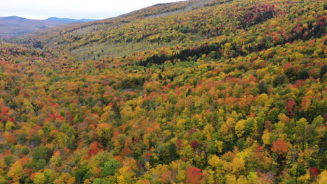 Aerial-Fly-Over-Drone-Footage-over-top-of-autumn-trees-revealing-rich-fall-colors-in-red,-orange-and-green-in-Maine,-USA