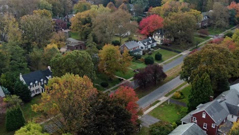 Aerial-view-of-fancy-neighborhood-with-traditional-houses-and-tree-alleys