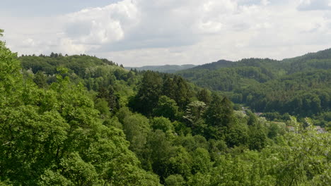 Naturwaldlandschaft,-Grüne-Bäume-Auf-Hügeln