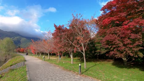 Promenade-with-scenic-maple-trees,-near-Kawaguchi-lake,-Saitama-prefecture,-Japan