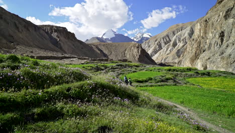 Tilt-up-shot-to-a-beautiful-Himalayan-landscape,-hikers-walking-through-a-meadow-with-flowers-and-green-grass,-sunny-bright-day