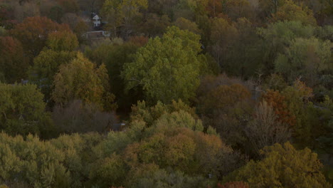 Langsames-Schieben-über-Schöne-Herbstbäume-Und-Nette-Häuser-In-Den-Vororten