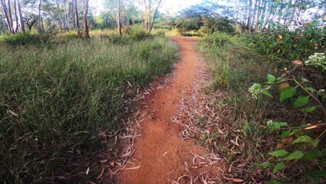 Walking-On-A-Pedestrian-Dirt-Road-Pathway-In-A-Forest---Wide-Rolling-Shot
