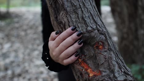 Close-up-as-a-beautiful-gothic-woman-places-her-hand-on-a-tree-as-she-passes-by,-deep-in-the-forest