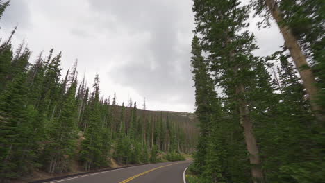 Slow-motion-drive-through-an-alpine-forest