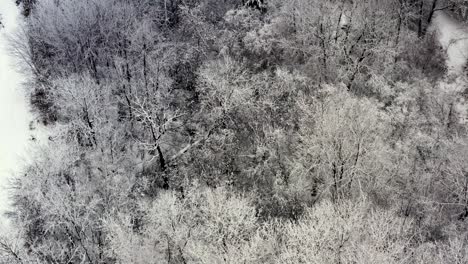 Ein-Dunkler-Und-Gruseliger-Waldboden,-Der-Von-Oben-Mit-Leichtem-Schnee-Bedeckt-Ist