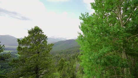 Breeze-through-the-Colorado-mountains