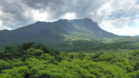 Beautiful-aerial-establishing-shot-rainforest-mountain-revealing-behind-tall-trees
