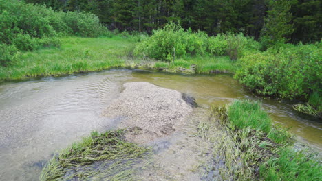 Marshy-wetland-stream-soaking-the-grass