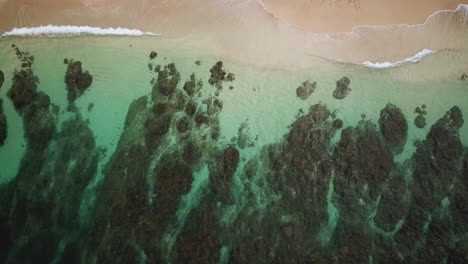 Aerial-panning-over-waves-crashing-on-a-coral-reef-beach,-bird's-eye-view