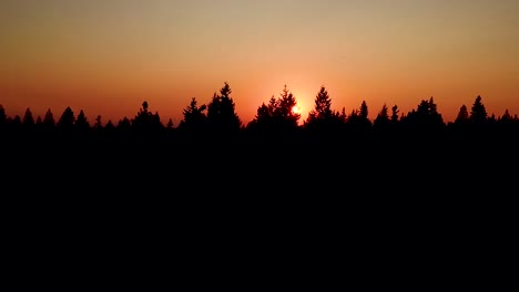 Silhouette-Of-Coniferous-Trees-During-A-Fiery-Golden-Sunset-In-The-Mountains