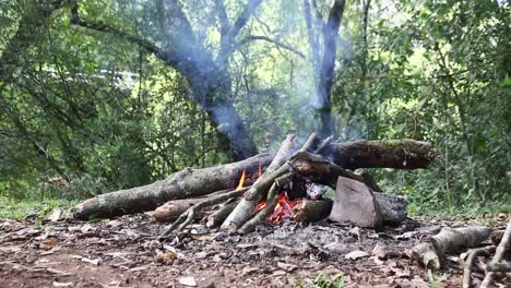 Campingfeuer-Im-Dschungel-Mit-Rauch