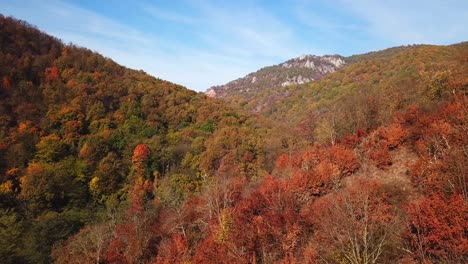 Drohnenschuss-über-Bergen-Und-Hügeln,-Die-Mit-Herbstlichen-Bäumen-Bedeckt-Sind