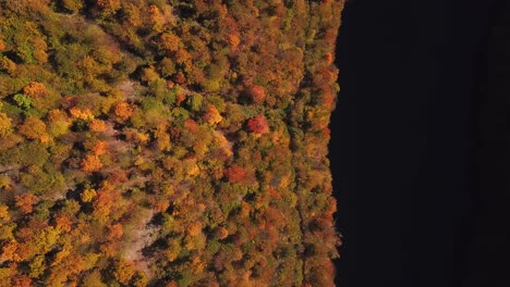 Aerial-shot,-top-view,-of-lake-Tarnita,-Romania,-surrounded-by-colorful-autumn-trees