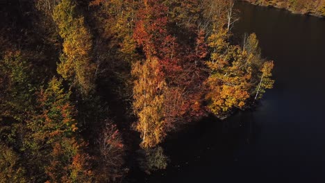 Aerial-shot-of-lake-Tarnita,-Romania,-surrounded-by-colorful-autumn-trees