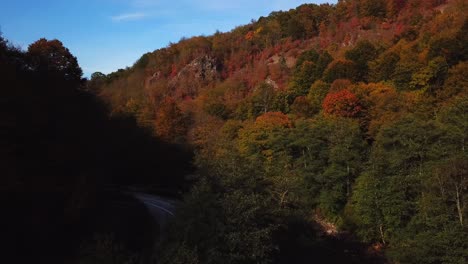 Aerial-shot-of-a-river-flowing-next-to-a-country-road,-surrounded-by-autumn-mountain-forest