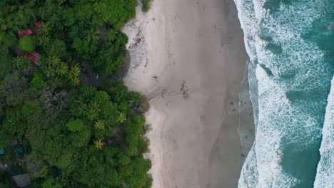 Beautiful-4K-aerial-drone-shot-of-a-tropical-Pacific-paradise-beach-at-the-seaside-in-Costa-Rica-with-the-ocean,-sand-and-jungle-seen-from-above-in-bird-perspective