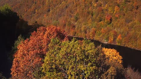 Drohnenaufnahme-Des-Tarnita-Sees,-Rumänien,-Umgeben-Von-Bunten-Herbstbäumen