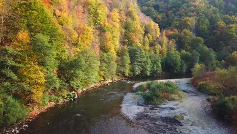 Aerial-shot-of-a-river-flowing-surrounded-by-an-autumn-mountain-forest
