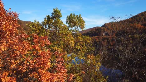 Forward-drone-shot-of-lake-Tarnita,-Romania,-behind-some-autumn-trees