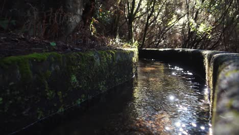 Close-up-of-Levada,-small-water-channel-in-Madeira-on-sunny-day,-low-angle