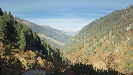 Wunderschöne-Alpine-Landschaft-Im-Herbst-Mit-Bewaldeten-Berghängen-Und-Einem-Kleinen-Tal-Dazwischen-Und-Einem-Blauen-Himmel