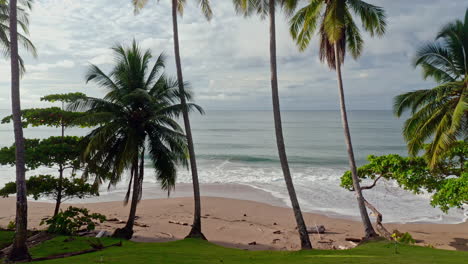 Going-Up-Aerial-Drone-Shot-of-Palms-at-Deserted-Beach-and-Wavy-Sea-in-Tambor,-Costa-Rica