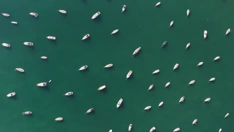 Aerial-top-view-of-marina-on-sunny-day