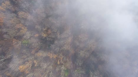Drone-flight-over-a-misty-Autumn-forest