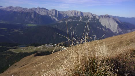 Hierba-Seca-De-Montaña-Que-Sopla-La-Brisa-En-Seefelder-Joch-Con-Las-Montañas-De-Los-Alpes-En-El-Fondo