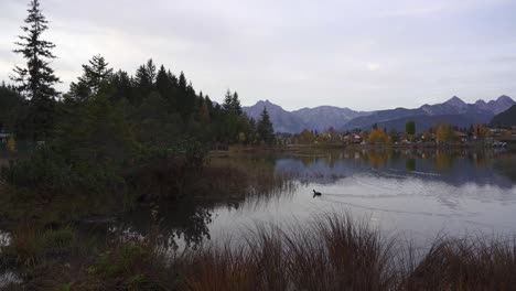 Autumn-lake-in-the-alps,-Wildsee-in-Seefeld-in-Tirol-with-mountain-background