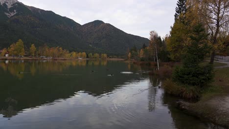 Vögel-Schwimmen-Auf-Der-Ruhigen-Oberfläche-Eines-Alpensees-Im-Herbst-Mit-Berghintergrund
