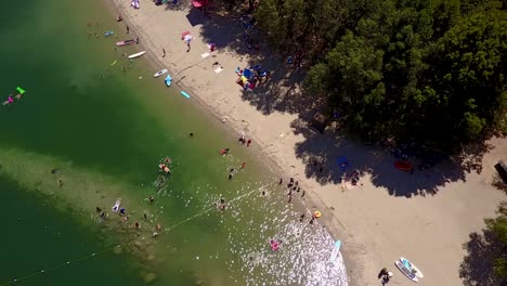 Whiskeytown-Lake,-California---People-Enjoying-Swimming-In-Crystal-Clear-Green-Waters-Surrounded-With-Tall-Trees---Aerial-Shot