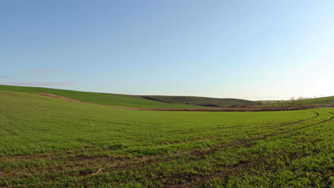 Lapso-De-Tiempo-De-Nubes-En-Movimiento-Y-Hierba-En-La-Región-Toscana-De-Moravia-Durante-Un-Día-Soleado-Con-Viento-Fuerte-En-Un-Campo-Recién-Plantado-Lleno-De-Vegetación