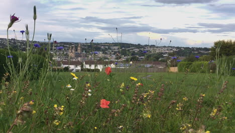 The-beautiful-wild-flowers-of-England-in-a-local-park,-overlooking-the-peaceful-city-of-Truro-Cornwall-and-cathedral---Wide-shot