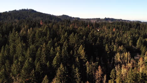 Aerial-capture-of-a-sunny,-cold-day-in-Oregon