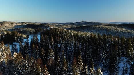 Aerial-flying-view-of-a-horizon-with-trees-and-mountains-covered-with-snow-and-sun-rays