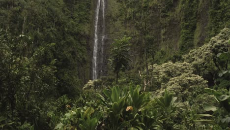 caucasian-model-hiking-toward-beautiful-waterfall-in-Maui-Hawaii