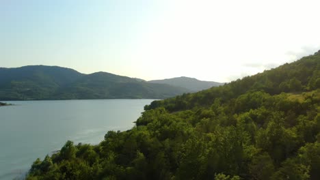 Waldrand-Des-Wasserreservoir-Staudamms-Des-Butoniga-Sees-In-Kroatien-Mit-Hohen-Bäumen-Und-Sträuchern,-Luftdrohnen-Überführungsaufnahme