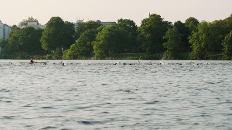 Slow-motion-shot-of-the-outer-alster-lake-with-swimmmers-during-Ironman-in-Hamburg