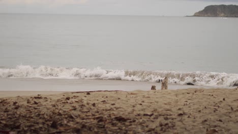 Schwenk-Von-Wellen,-Die-Auf-Einen-Einsamen-Strand-Rollen