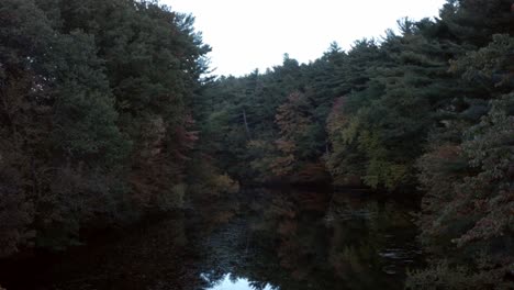 A-timelapse-of-a-forest-along-a-calm-river