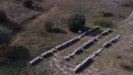 Aerial-shor-of-three-rows-of-hives-on-a-field