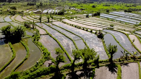 Luftabheben-über-Reispasteten-In-Bali,-Indonesien