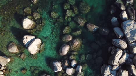 Top-Down-Ascending-Aerial-View-on-Rocks-in-Clear-Green-Alpine-Water-of-Lake-Tahoe-USA-With-Overview-on-Coast